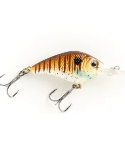 Castaic Crankbait Hard Baits