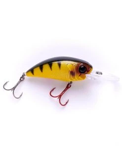 MONSTERBASS Seeker 12 6 Piece Bundle Tackle Bundles