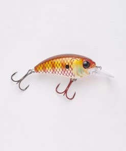 MONSTERBASS Seeker 6