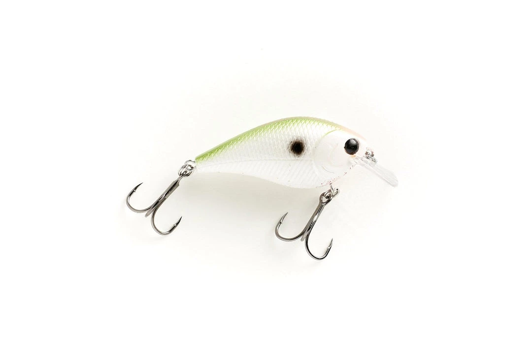 MONSTERBASS Hammerhead – Alex Rudd Edition 4 MONSTERBASS Hammerhead – Alex Rudd Edition