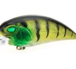 B8 Lab Ultimate Strike Shad 3 Piece Bundle