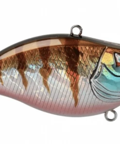 Ark Fishing Z-Series Lipless Crankbait - 3 Pack Tackle Bundles