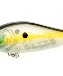 B8 Lab Hard Baits B8LAB Roccit Shad 12 B8 Lab Hard Baits B8LAB Roccit Shad