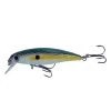 Raptor Lures Raptor XJB