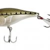 SteelShad Topwater Popper