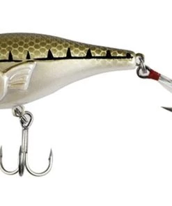 SteelShad Topwater Popper