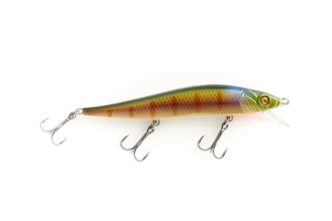 Vicious Fishing Hard Baits Ripper 110 Jerkbait 4 Vicious Fishing Hard Baits Ripper 110 Jerkbait