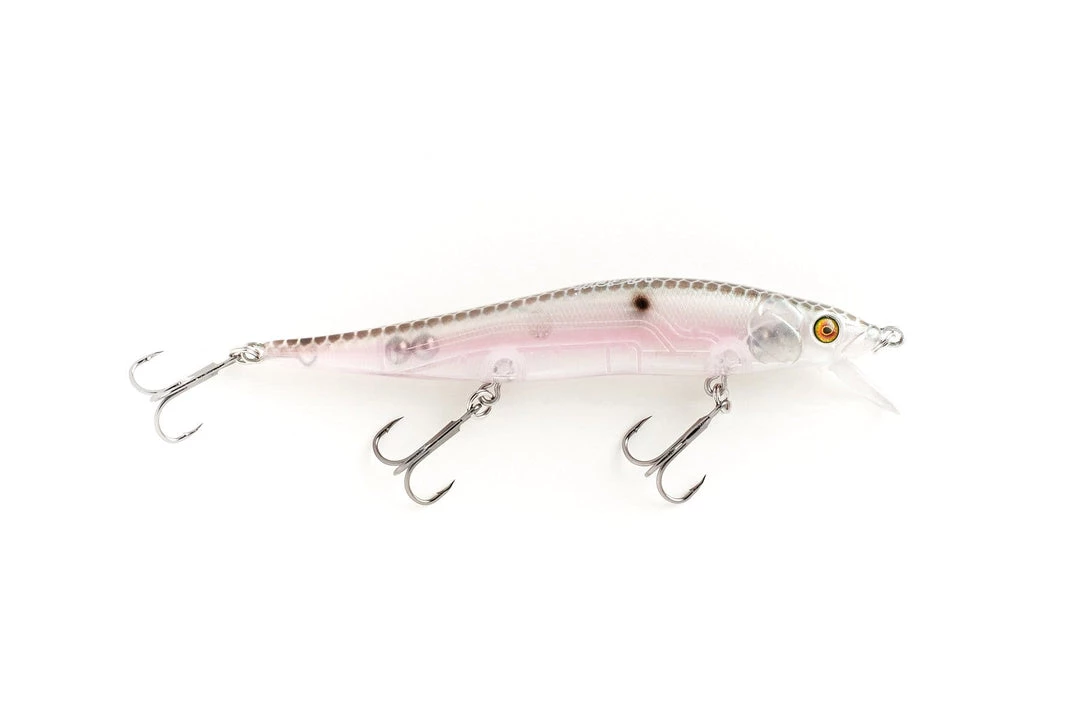 Vicious Fishing Hard Baits Ripper 110 Jerkbait 5 Vicious Fishing Hard Baits Ripper 110 Jerkbait